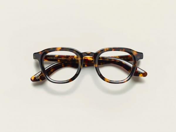 Moscot-Dahven-Tortoise